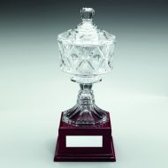 Clear Glass Cup Trophy Award On Wood Base Trophy - 12.25in