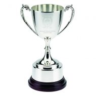 Silver-Bright Plated Traditional Cup Trophy Award - 11in