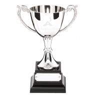 Nickel Plated Cup Trophy Award On Base - 11.75in