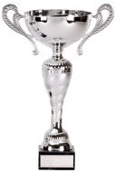 Prospect Cup Trophy Award New 2013