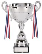 Washington Cup Trophy Award New 2013