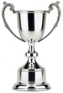 Classic Cup Trophy Award