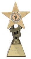 Glitter Star Trophy Award(New 2010)