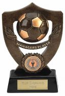 Celebration Shield Trophy Award Managers Player