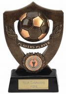 Celebration Shield Trophy Award Players Player