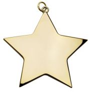 Star Achievement68 Medal Gold 68mm