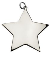 Star Achievement68 Medal Silver 68mm