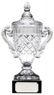 Merit Cup Trophy Award New 2013