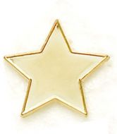 Badge Flat Star Gold (New 2010)