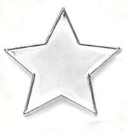 Badge Flat Star Silver (New 2010)