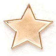 Badge Flat Star Bronze (New 2010)