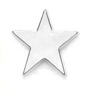 Badge Flat Star Silver