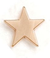 Badge Flat Star Bronze (New 2010)