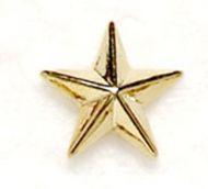 Gold Raised Star Badge