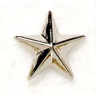 Silver Raised Star Badge Trophy Award (New 2010)