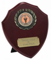 Triumph Wood Shield Trophy Award