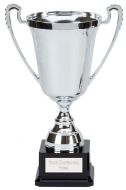 Moment Presentation Cup Trophy Award 9.75 Inch (24.5cm) : New 2020