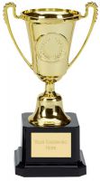 Mini Moment Presentation Cup Trophy Award Gold 6 Inch (15cm) : New 2020
