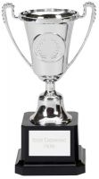 Mini Moment Presentation Cup Trophy Award Silver 6 Inch (15cm) : New 2020