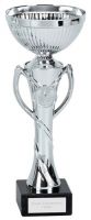 Temple Presentation Cup Trophy Award 10 Inch (25.5cm) : New 2020