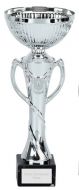 Temple Presentation Cup Trophy Award 11.75 Inch (30cm) : New 2020