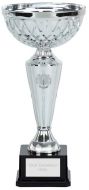 Tweed Presentation Cup Trophy Award 13.5 Inch (34cm) : New 2020