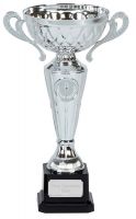 Tweed Presentation Cup Trophy Award with Handles 9.25 Inch (23.5cm) : New 2020