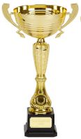 Surge Gold Presentation Cup Trophy Award 12 Inch (30.5cm) : New 2020