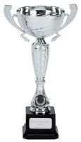 Surge Silver Presentation Cup Trophy Award 11.25 Inch (28.5cm) : New 2020