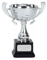 Motion Silver Presentation Cup Trophy Award 7.5 Inch (19cm) : New 2020