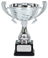 Motion Silver Presentation Cup Trophy Award 9 7/8 Inch (25cm) : New 2020