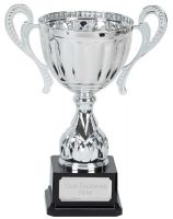 Link Track Trophy Award Silver Presentation Cup Trophy Award 10.5 Inch (26.5cm) : New 2020