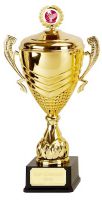 Link Prestige Gold Presentation Cup Trophy Award 12.75 Inch (32.5cm) : New 2020