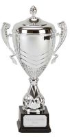 Link Apex Silver Presentation Cup Trophy Award 15.75 Inch (39.5cm) : New 2020