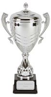 Link Apex Silver Presentation Cup Trophy Award 17.5 Inch (44cm) : New 2020