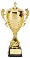 Link Apex Gold Presentation Cup Trophy Award 16 5/8 Inch (42cm) : New 2020