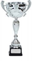Aurora Silver Presentation Cup Trophy Award 12 5/8 Inch (32cm) : New 2020