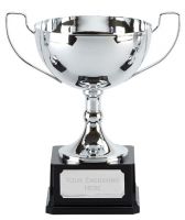 Elite Vista Presentation Cup Trophy Award 9.25 Inch (23.5cm) : New 2020