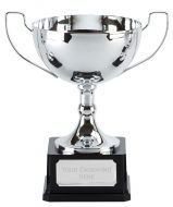 Elite Vista Presentation Cup Trophy Award 11.75 Inch (30cm) : New 2020