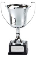 Elite Pro Presentation Cup Trophy Award 11 Inch (28cm) : New 2020