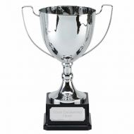 Elite Ace Presentation Cup Trophy Award 10 7/8 Inch (27.5cm) : New 2020