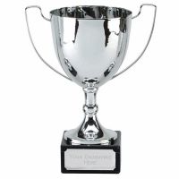Elite Champion Presentation Cup Trophy Award 12 Inch (30.5cm) : New 2020