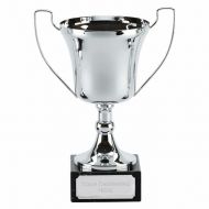 Elite Prime Presentation Cup Trophy Award 13 7/8 Inch (34.5cm) : New 2020