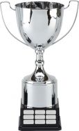 Elite Perpetual XL Presentation Cup Trophy Award 18.25 Inch (46cm) : New 2020