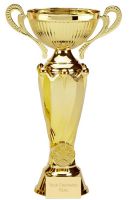 Tower Twin Gold Presentation Cup Trophy Award 11.25 Inch (28.5cm) : New 2020