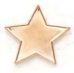 Star Pin Badges