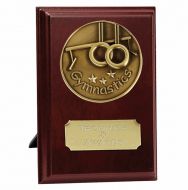 Vision Gymnastics Trophy Award Presentation Plaque Trophy Award 4 Inch (10cm) : New 2020