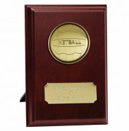 Vision Netball Trophy Award Presentation Plaque Trophy Award 4 Inch (10cm) : New 2020