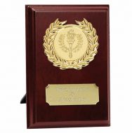 Prize5 Presentation Plaque Trophy Award 5 Inch (12.5cm) : New 2020