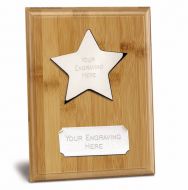Bamboo Star Presentation Plaque Trophy Award 9 7/8 x 8 Inch (25 x 20cm) : New 2020